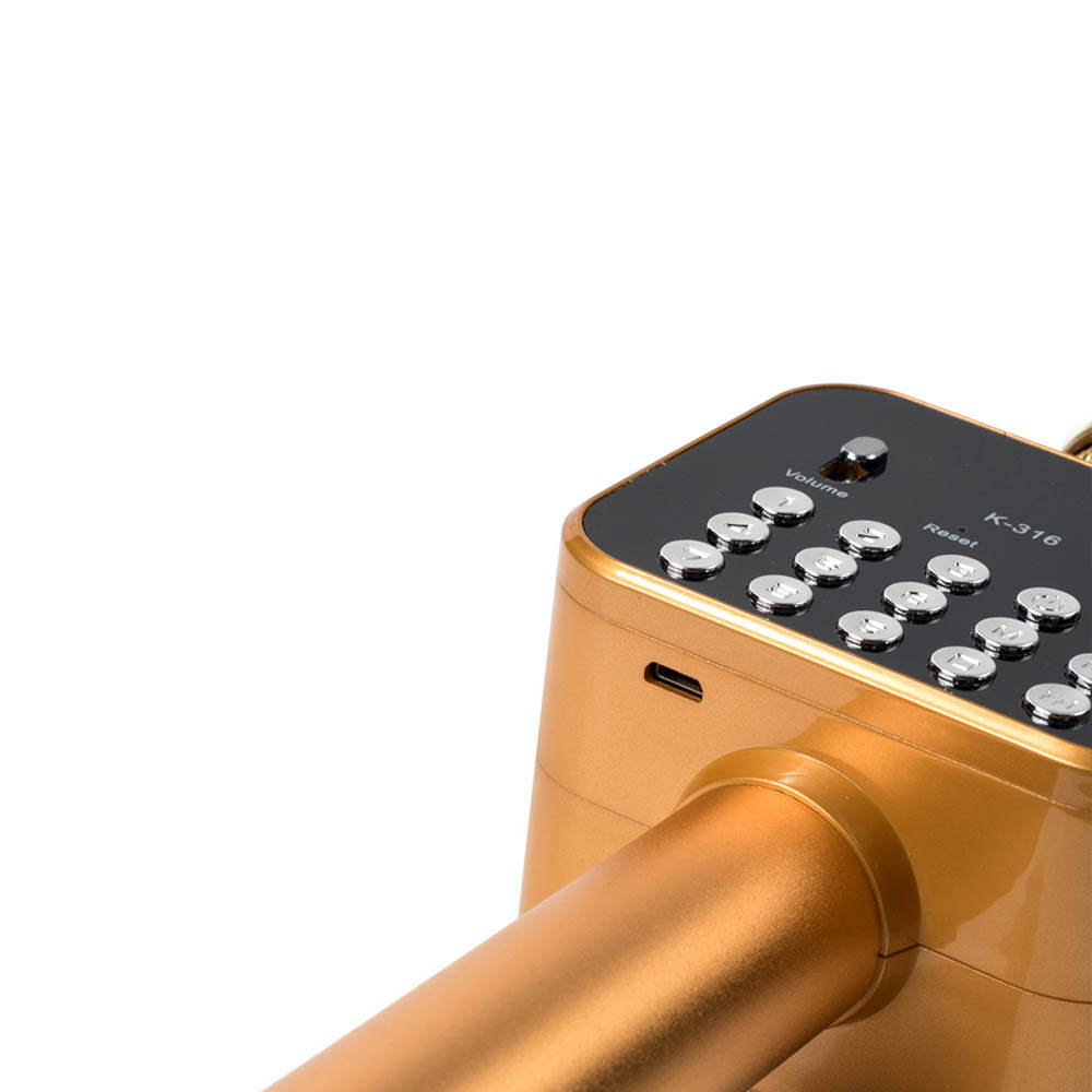 MIC BLUETOOTH K316 Lebanese Economy Support Department